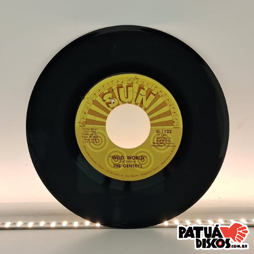 The Gentrys - Wild World - 7"