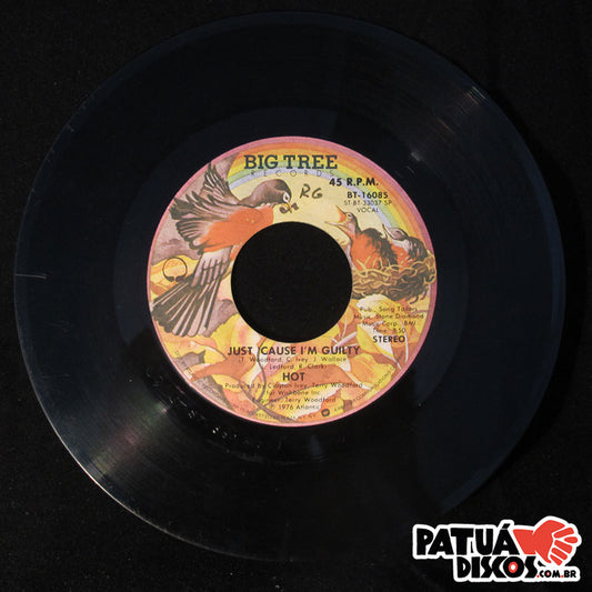 Hot - Just Cause I'm Guilty / Angel In Your Arms - 7"